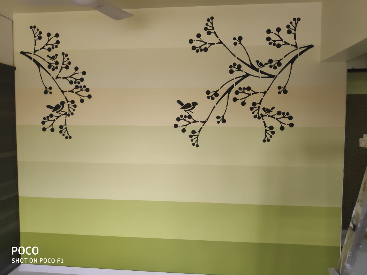 Asian Paints Signature Wall. Xclusive wall SHREE SHANTI X'CLUSIVE