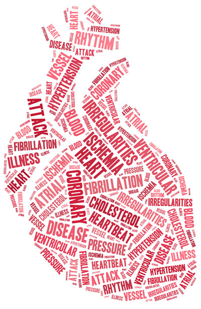 CARDIOVASCULAR DISEASE :
-: Blood test may pred... main image