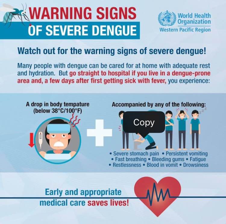 #Dengue is a mosquito-borne disease that can de... main image