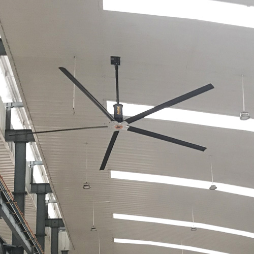 Big Ceiling Fan In India Shelly Lighting