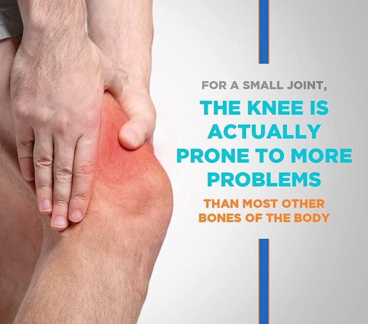 Knee main image