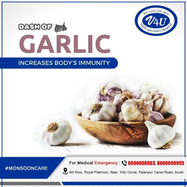 Garlic Increases Body Immunity main image