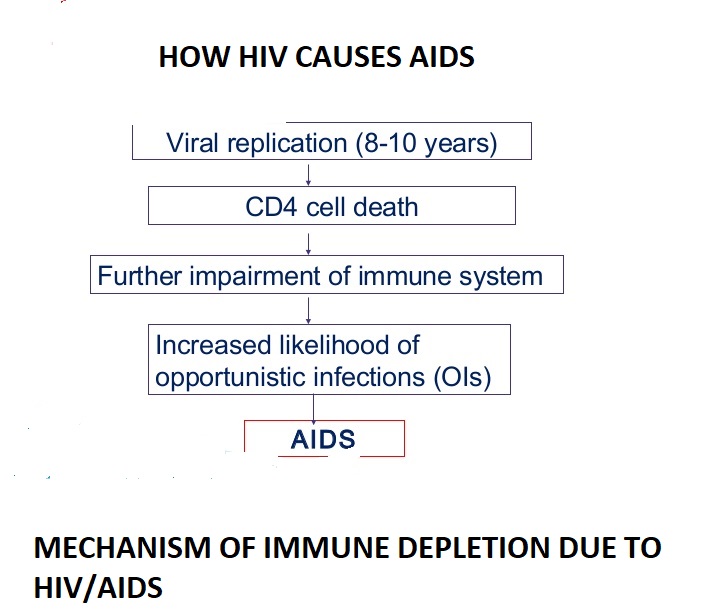 HIV BECOMES AIDS BY DEPLEATING CD4 COUNTS (WHIC... main image