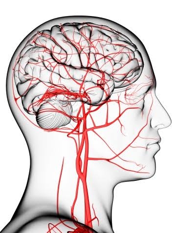 ब्रेन स्ट्रोक शी लढा! 
Brain Stroke in Marathi ... main image