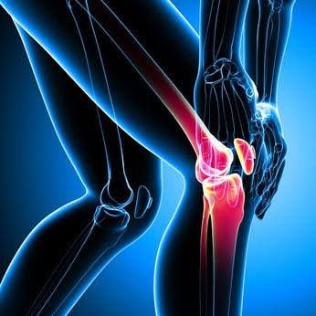 गुडघेदुखीने हैराण? आयुर्वेदाचे वरदान
Knee Joint... main image