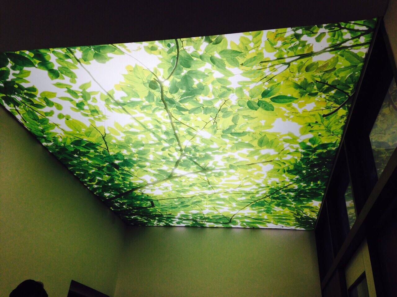 update image