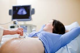 Maternity & Pregnancy main image