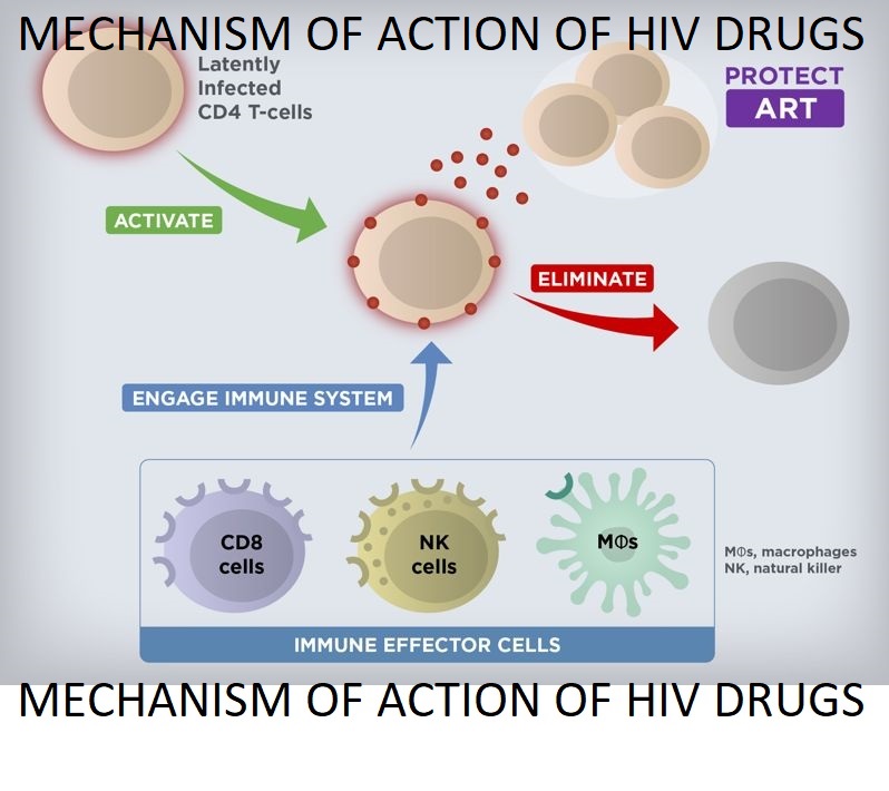 HIV VIRUS INFECTS ALL CELLS IN TH BODY LIKE WBC... main image