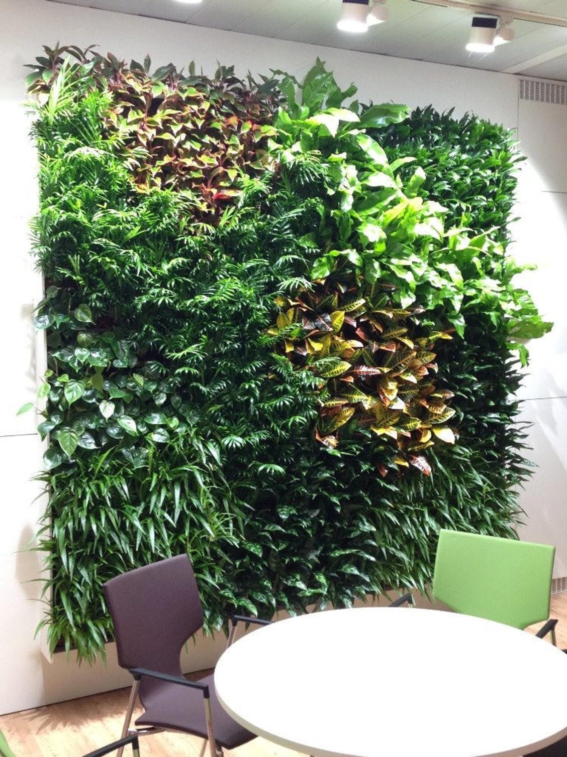artificial wall garden on Artificial Vertical Garden Artificial Turf P Ajnaabh Interiors