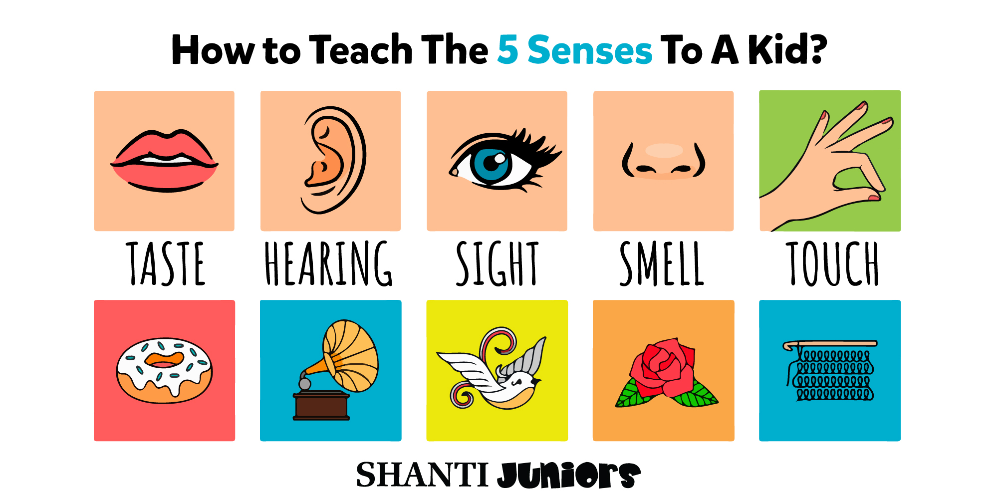 Teaching The Five Senses To Preschoolers