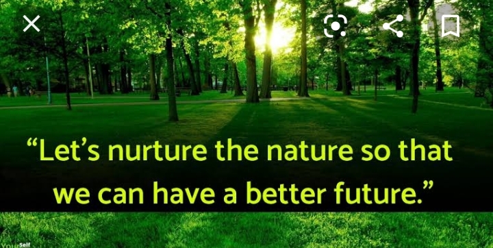 World Environment Day...

Orthopedic, gynaecologis... main image