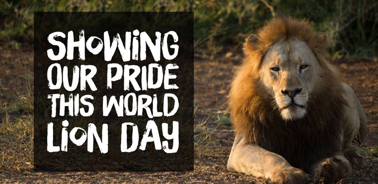 Think_Skin_Think_Blush_& _Bloom skin_specialist_in... main image