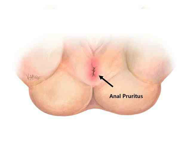 Dr.Phapale Hospital, Otur
Centre for Piles & Ge... main image