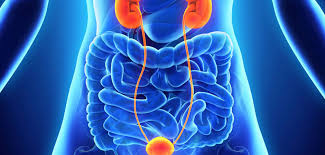 Gastroenterology is a branch of medicine focuse... main image