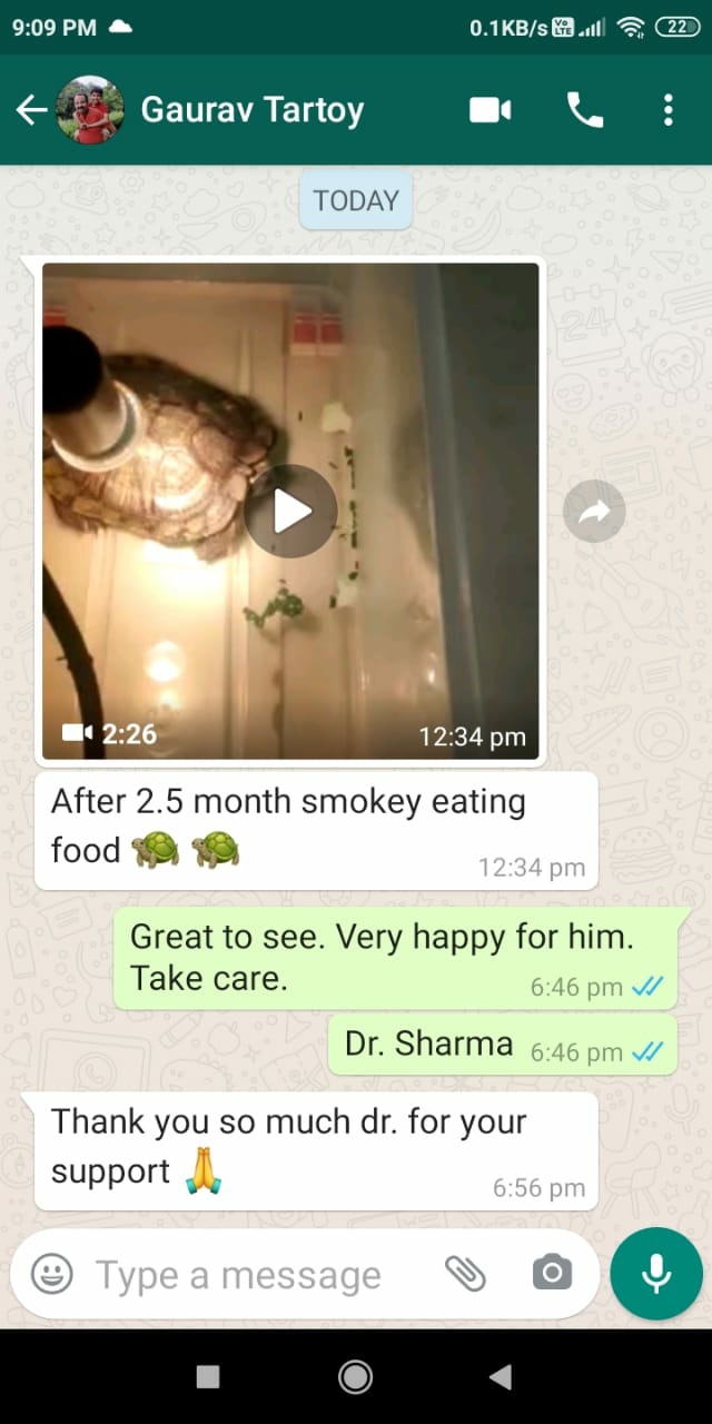 update image