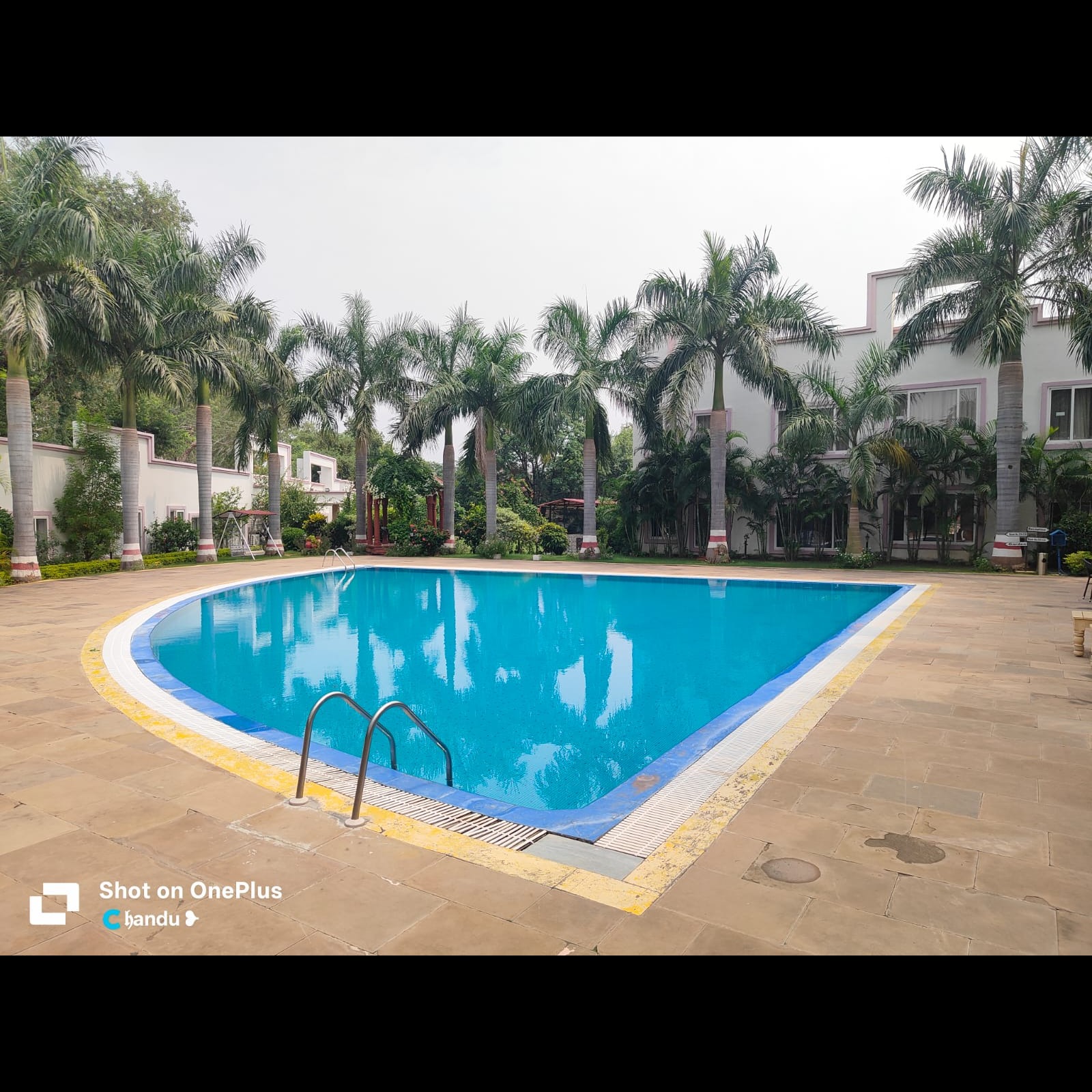 professional pool consultancy 