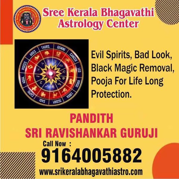 career astrologer in chennai