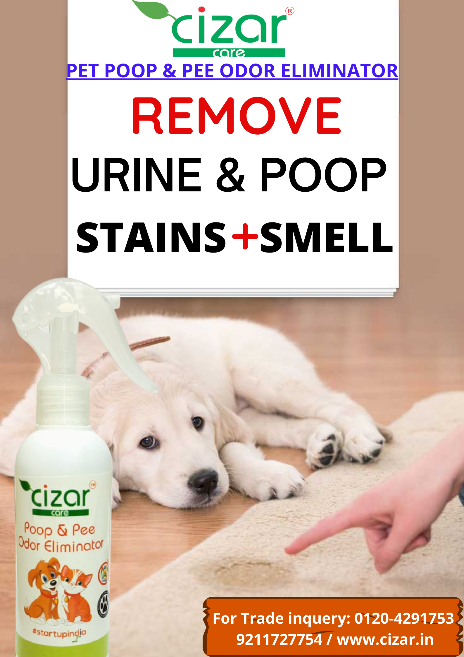 dog pee wipes