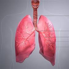 Chest clinic in Nagpur . Best chest physician i... main image