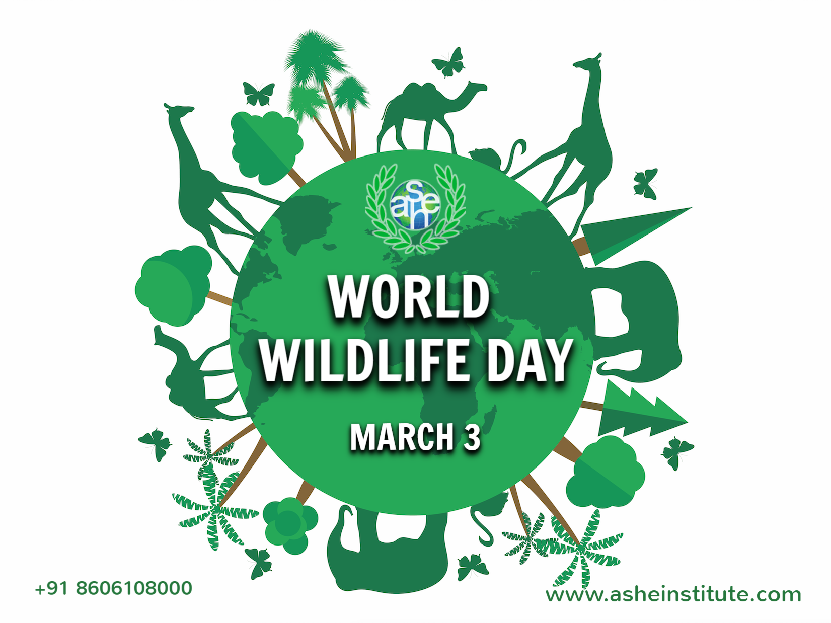 update image not found