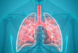 Chest clinic in Nagp