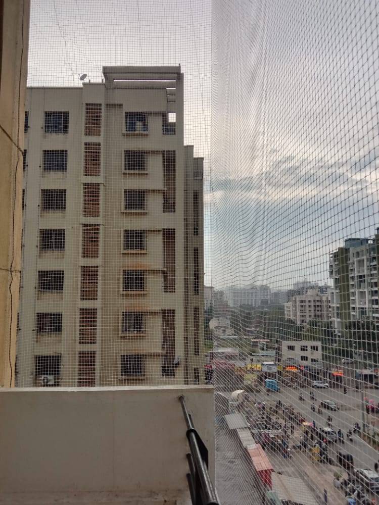 Pigeon Net