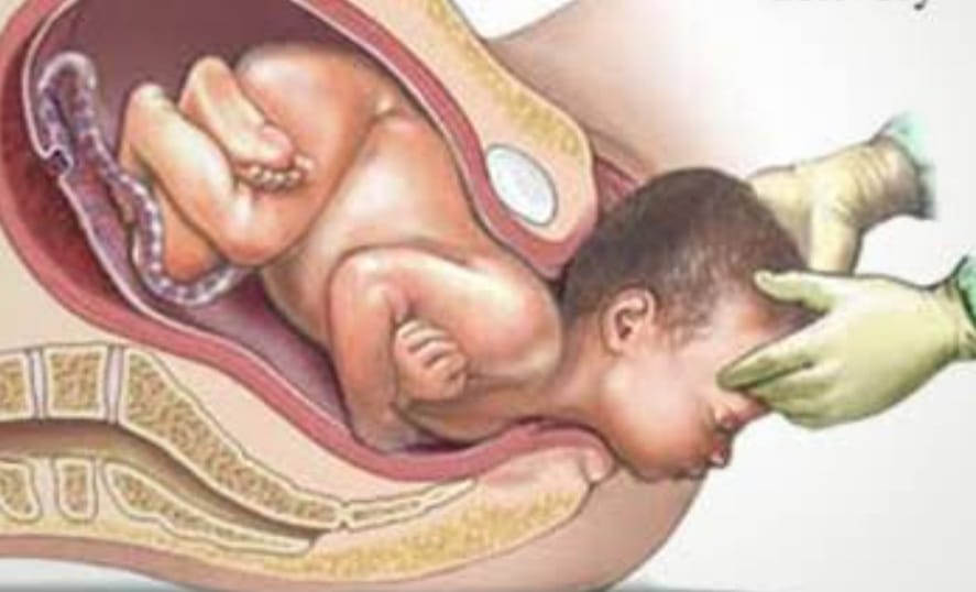 We are conducting regularly (24hrs×7days) normal d... main image