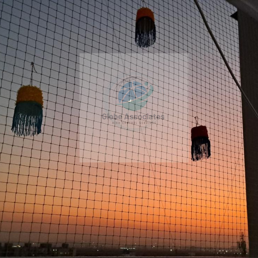 Bird net i