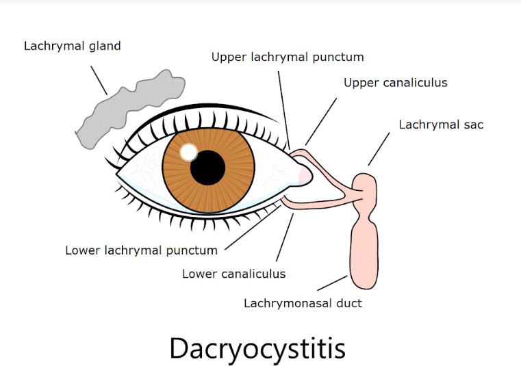 Discover exceptional medical care for your eye ... main image