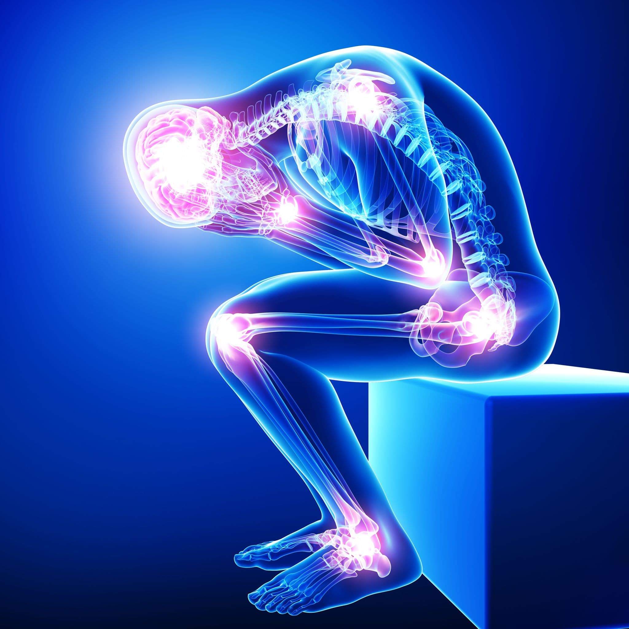 Spine and joint disease 
what is the spine dise... main image