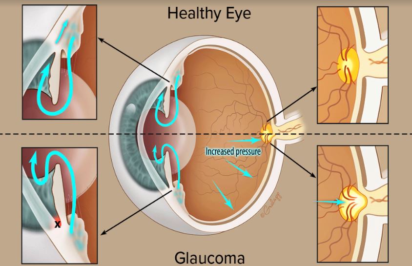 Green City Maternity and Eye Hospital, located ... main image