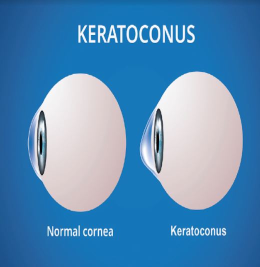 Are you seeking exceptional eye care and matern... main image