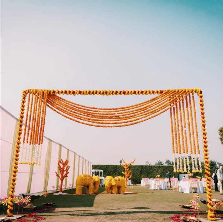 Wedding ve