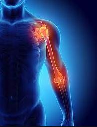 Are you searching for a world-class medical des... main image