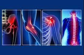 Looking for the best doctor consultation servic... main image