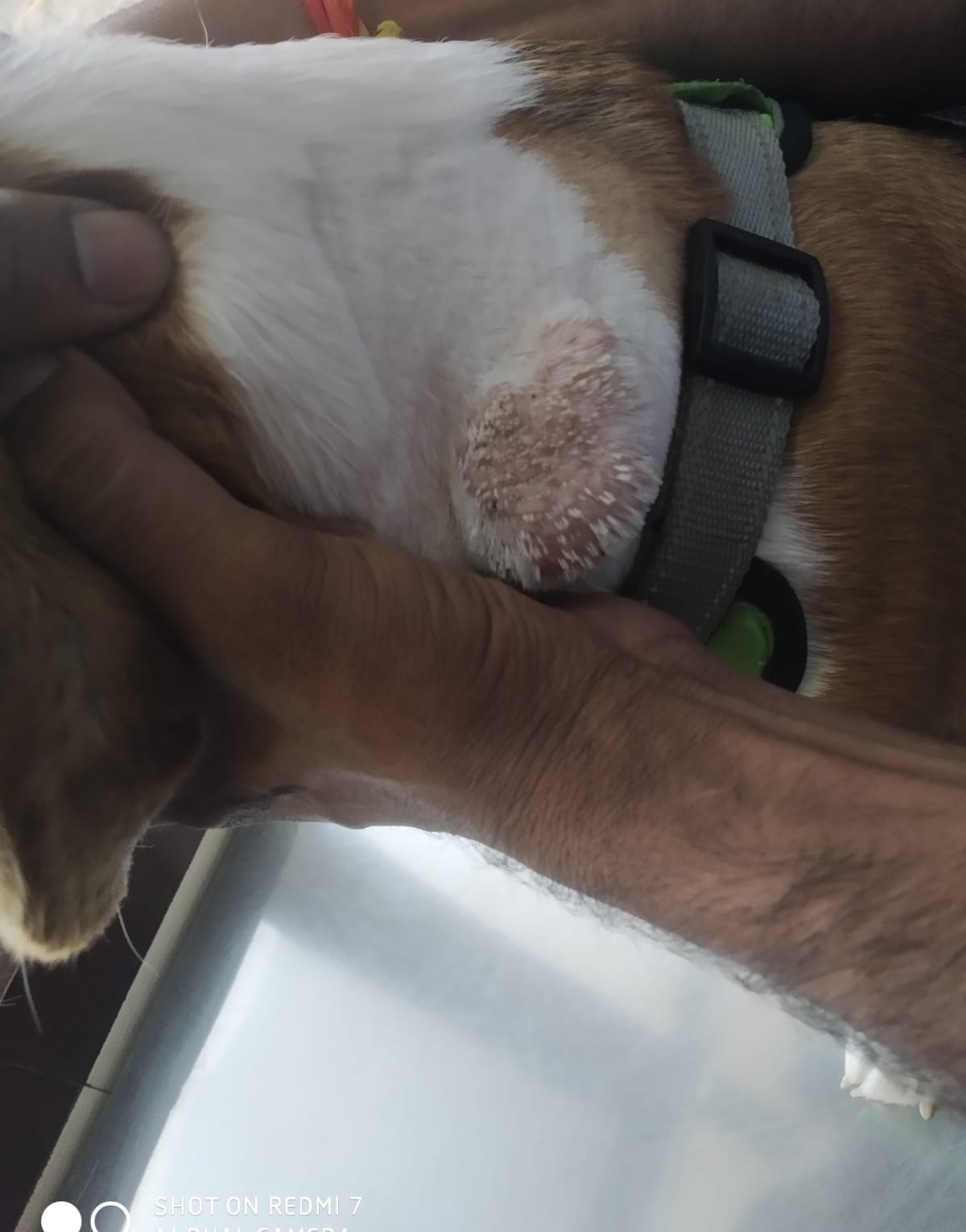 update image