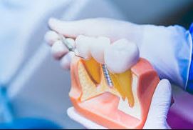 Are you in search of top-notch medical care tai... main image