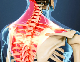 Introducing the best doctor consultation services ... main image