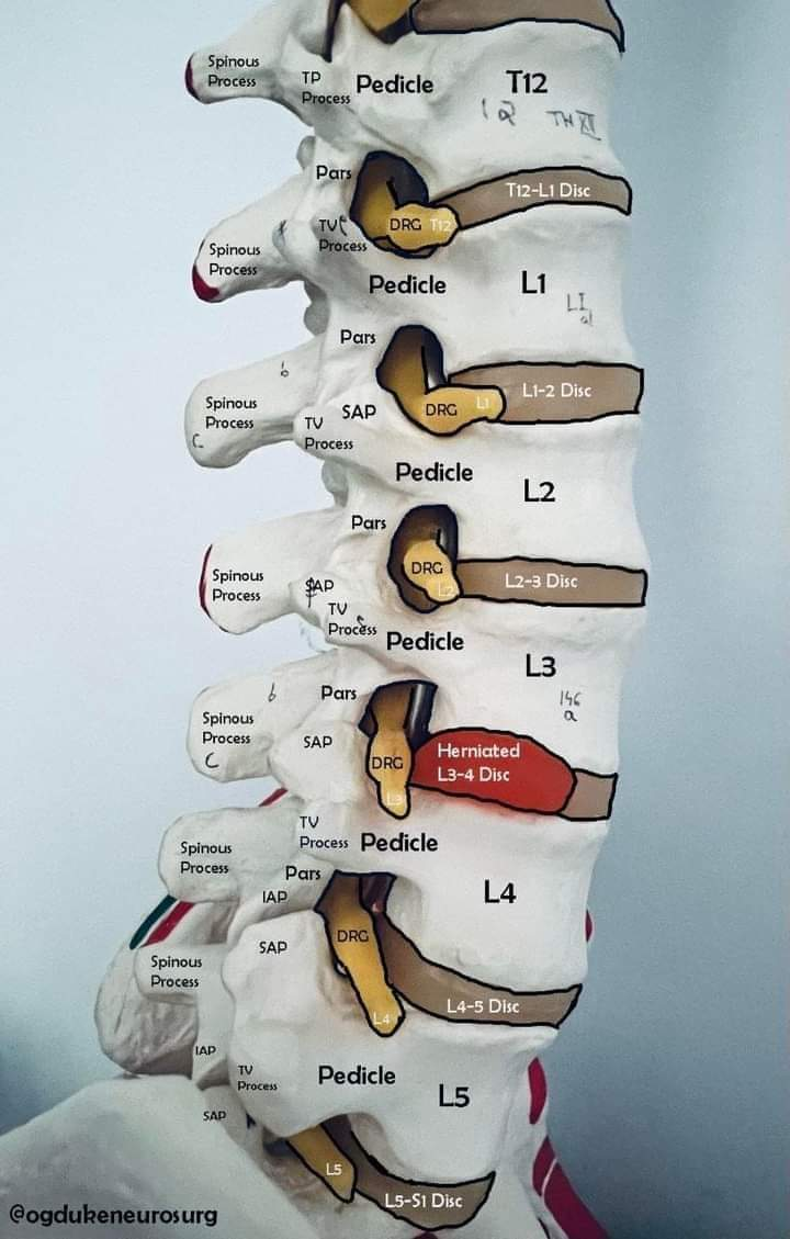 Physiotherapy clinic in tambaram
Are you Looking f... main image