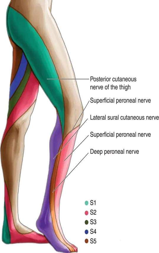 Physiotherapy clinic in tambaram
Are you Looking f... main image