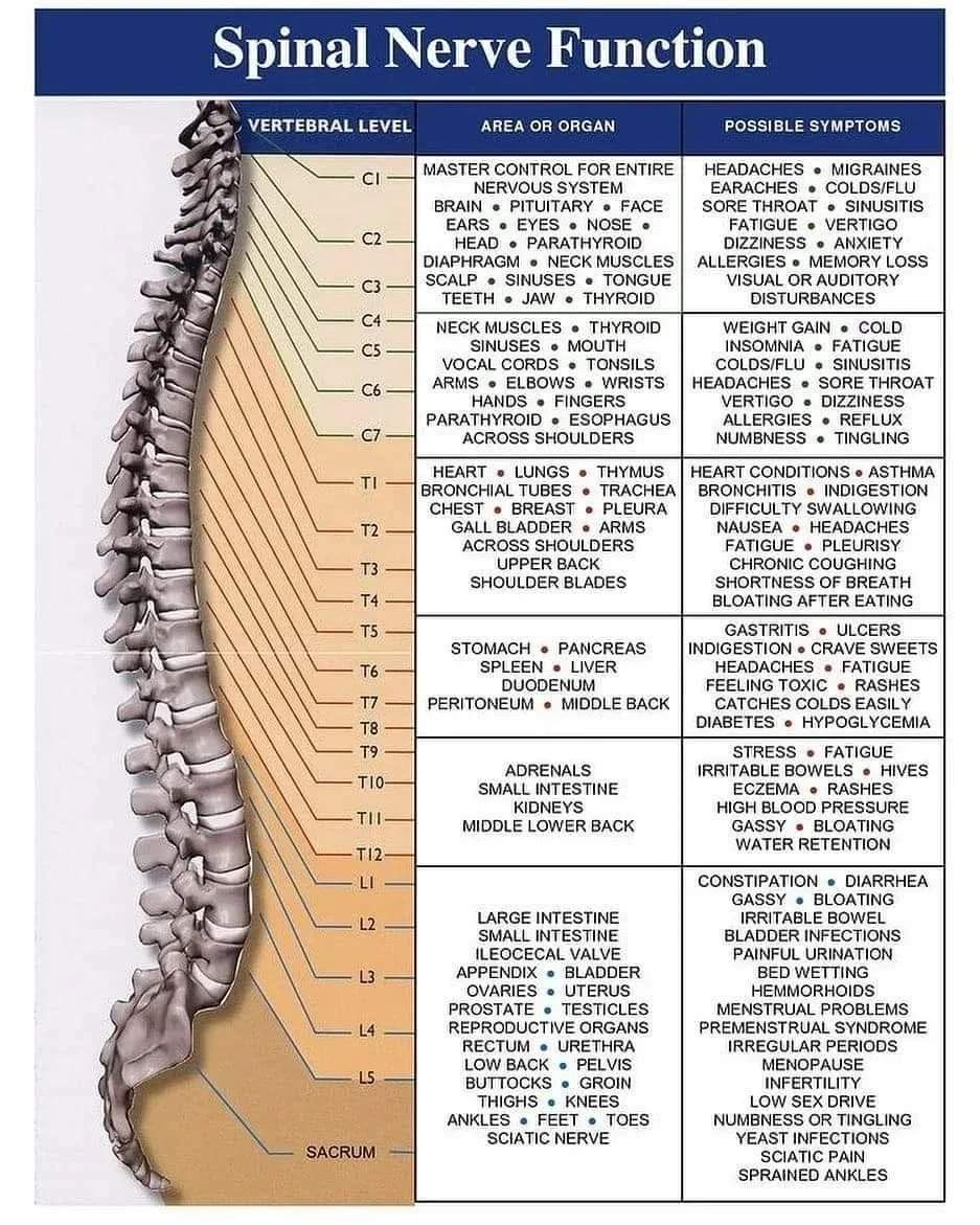 Physiotherapy clinic in Tambaram
Are you Looking f... main image