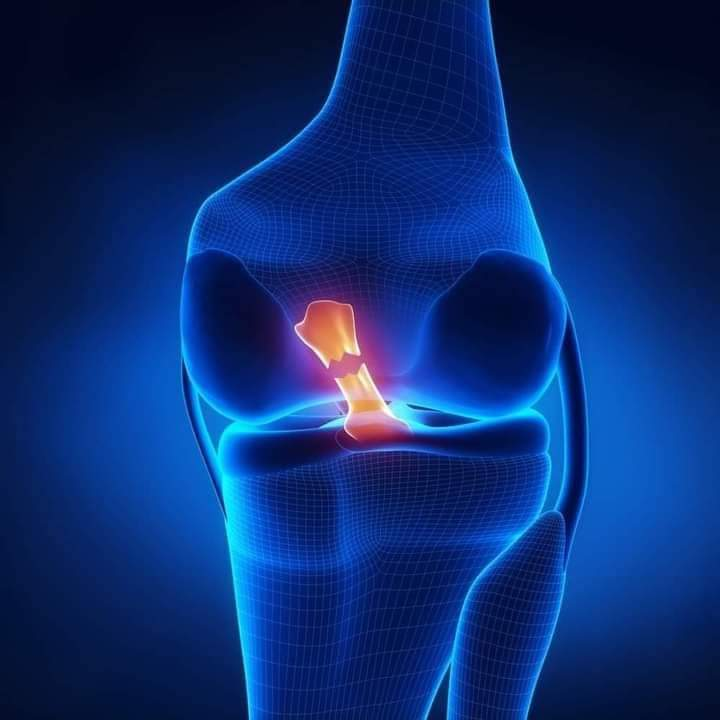 Physiotherapy clinic in Tambaram
Are you Lookin... main image
