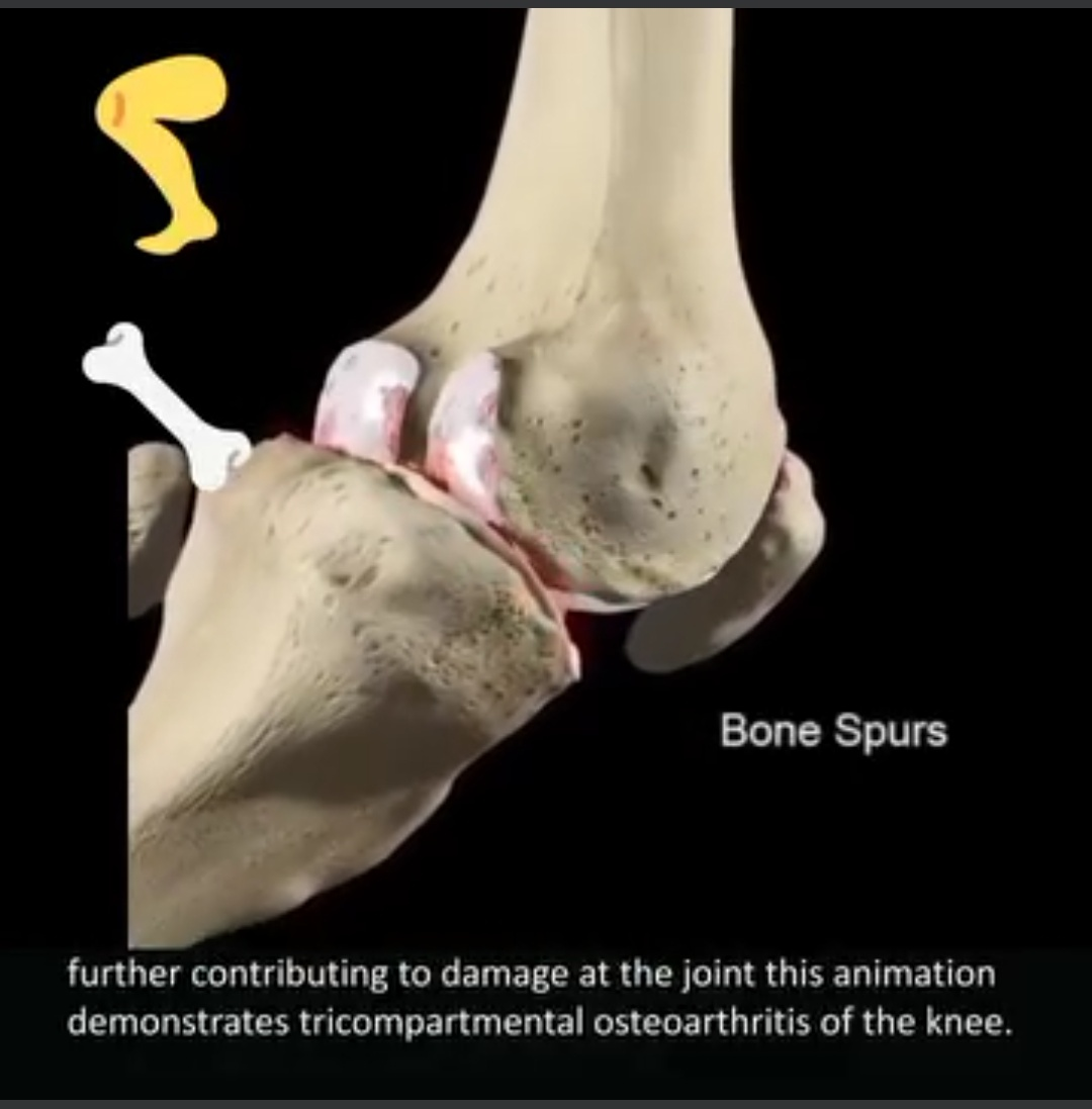 Physiotherapy clinic in Tambaram
Are you Looking f... main image