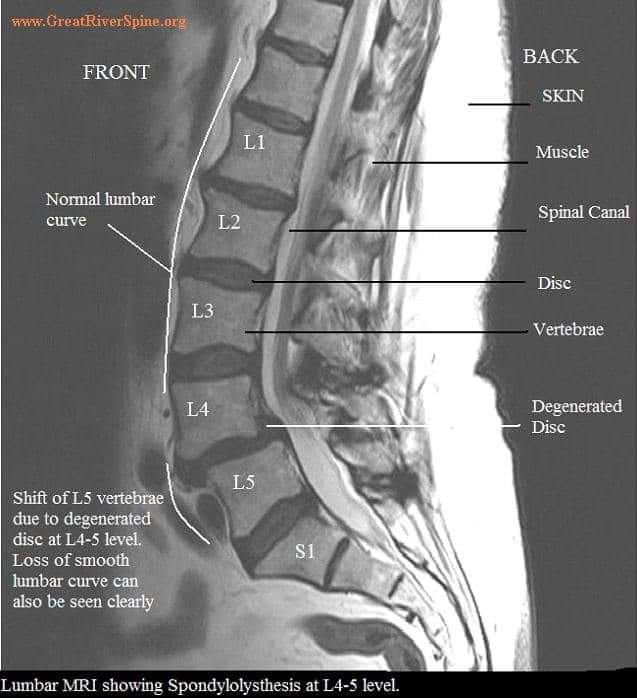Physiotherapy clinic in Tambaram
Are you Lookin... main image