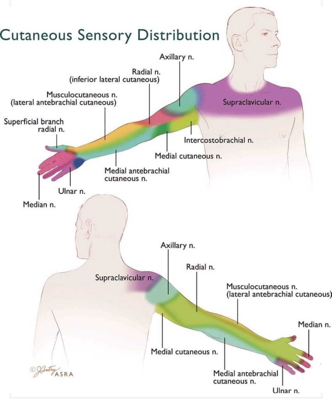 Physiotherapy clinic in Tambaram
Are you Looking f... main image