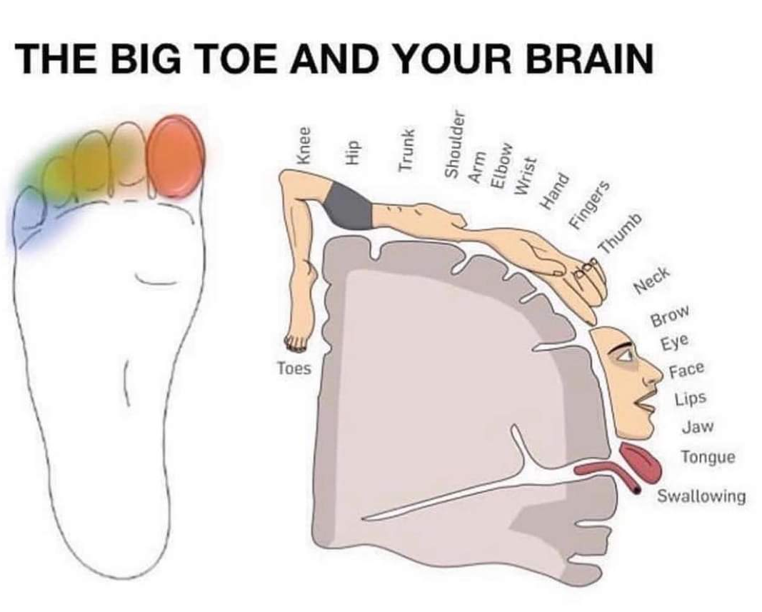 Physiotherapy clinic in Tambaram
Are you Looking f... main image