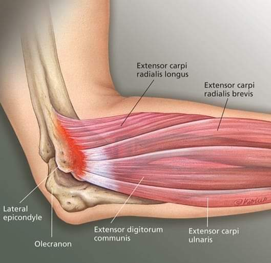 Physiotherapy clinic in Tambaram
Are you Looking f... main image
