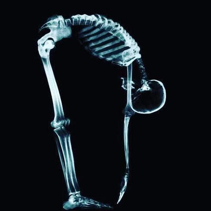 Physiotherapy clinic in Tambaram
Are you Looking f... main image