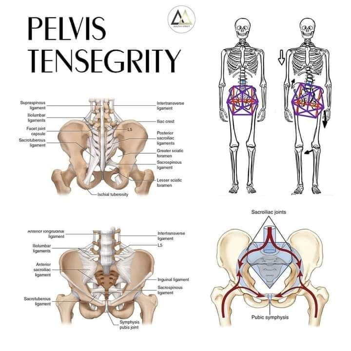 Physiotherapy clinic in Tambaram
Are you Looking f... main image
