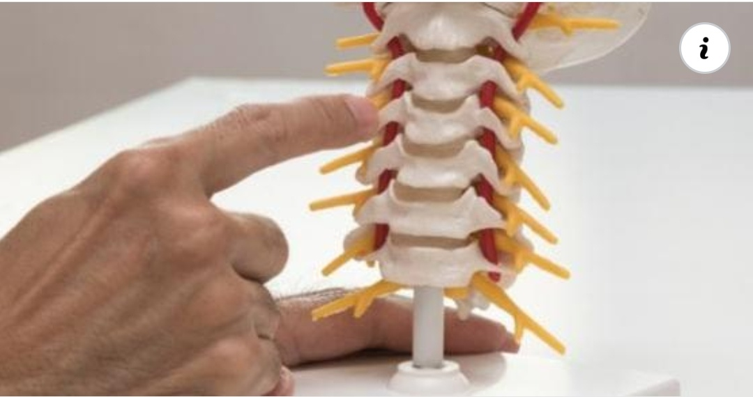 Physiotherapy clinic in Tambaram
Are you Looking f... main image